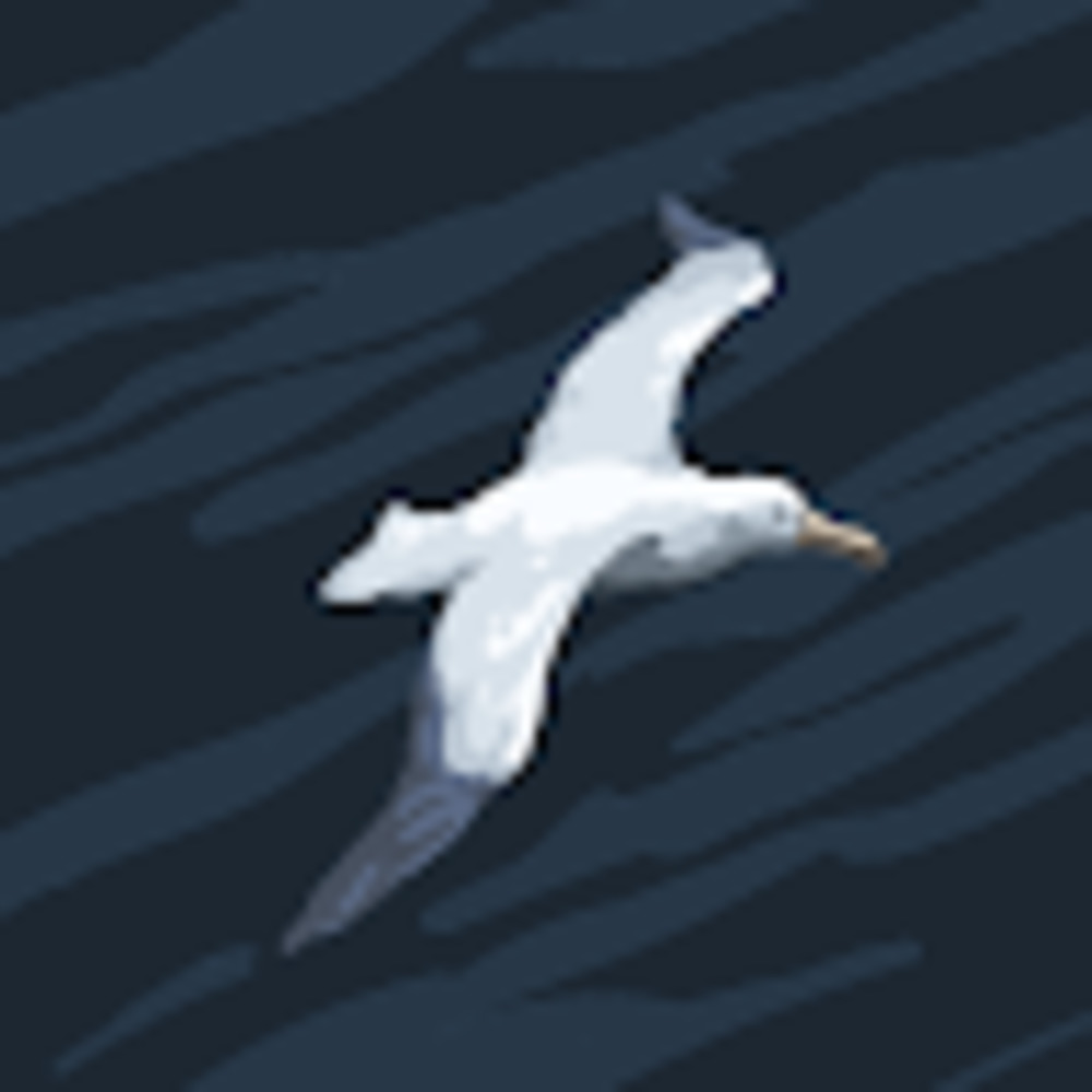 Meet your Posher, Debra